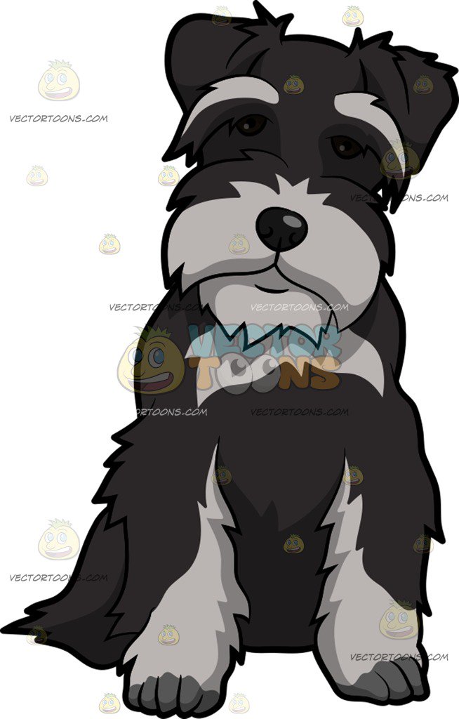 654x1024 An Intrigued Miniature Schnauzer Dog Clipart By Vector Toons