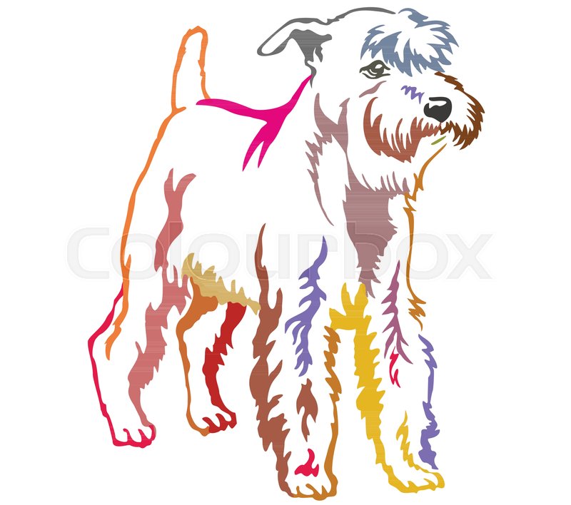 800x708 Colorful Contour Decorative Portrait Of Standing In Profile