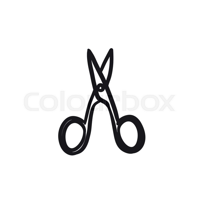 800x800 Nail Scissors Vector Sketch Icon Isolated On Background. Hand