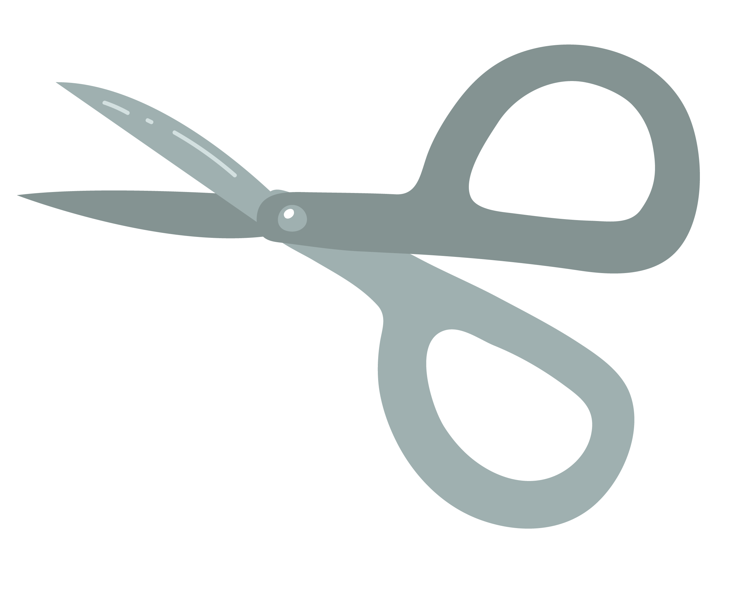 2425x1944 Scissors