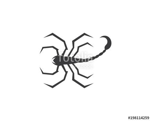 500x400 Scorpion Logo Template Stock Image And Royalty Free Vector Files