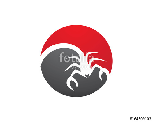 500x400 Scorpion Logo Template Vector Illustration Stock Image And