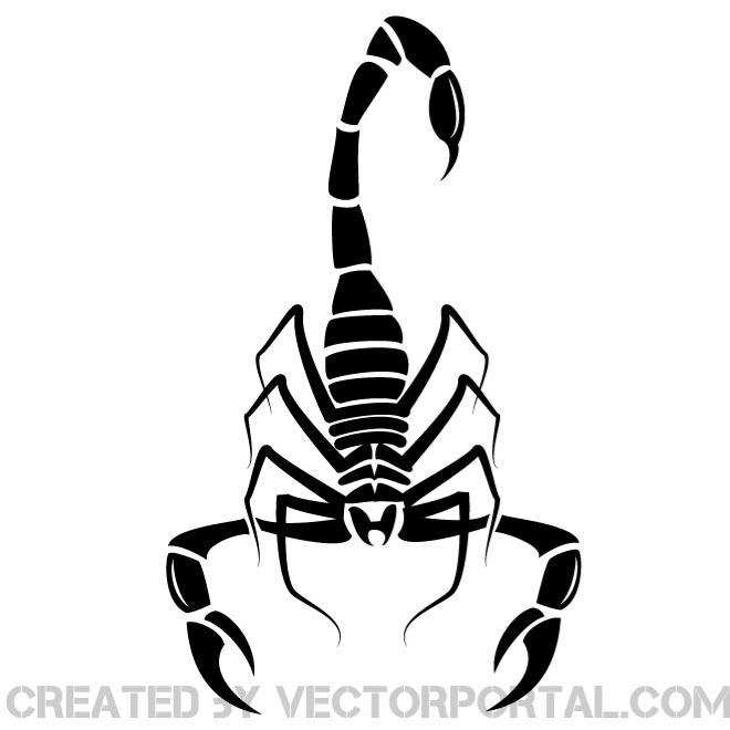 660x660 Free Vector Image Of A Scorpion.eps Psd Files, Vectors Amp Graphics