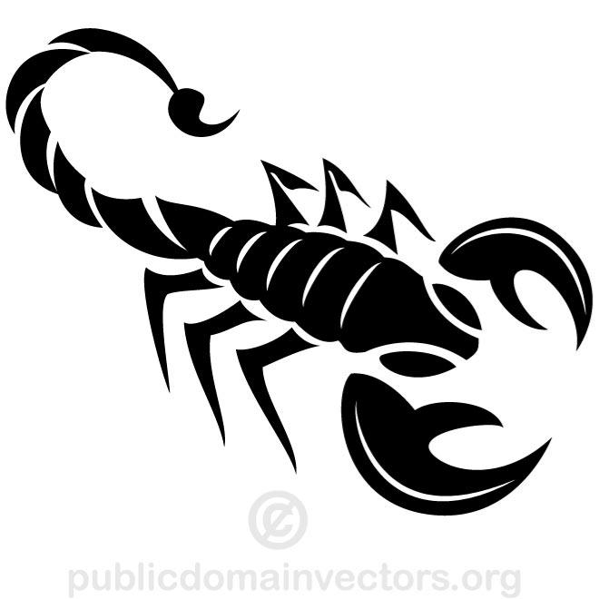 660x660 Free Scorpion Vectors 15 Downloads Found