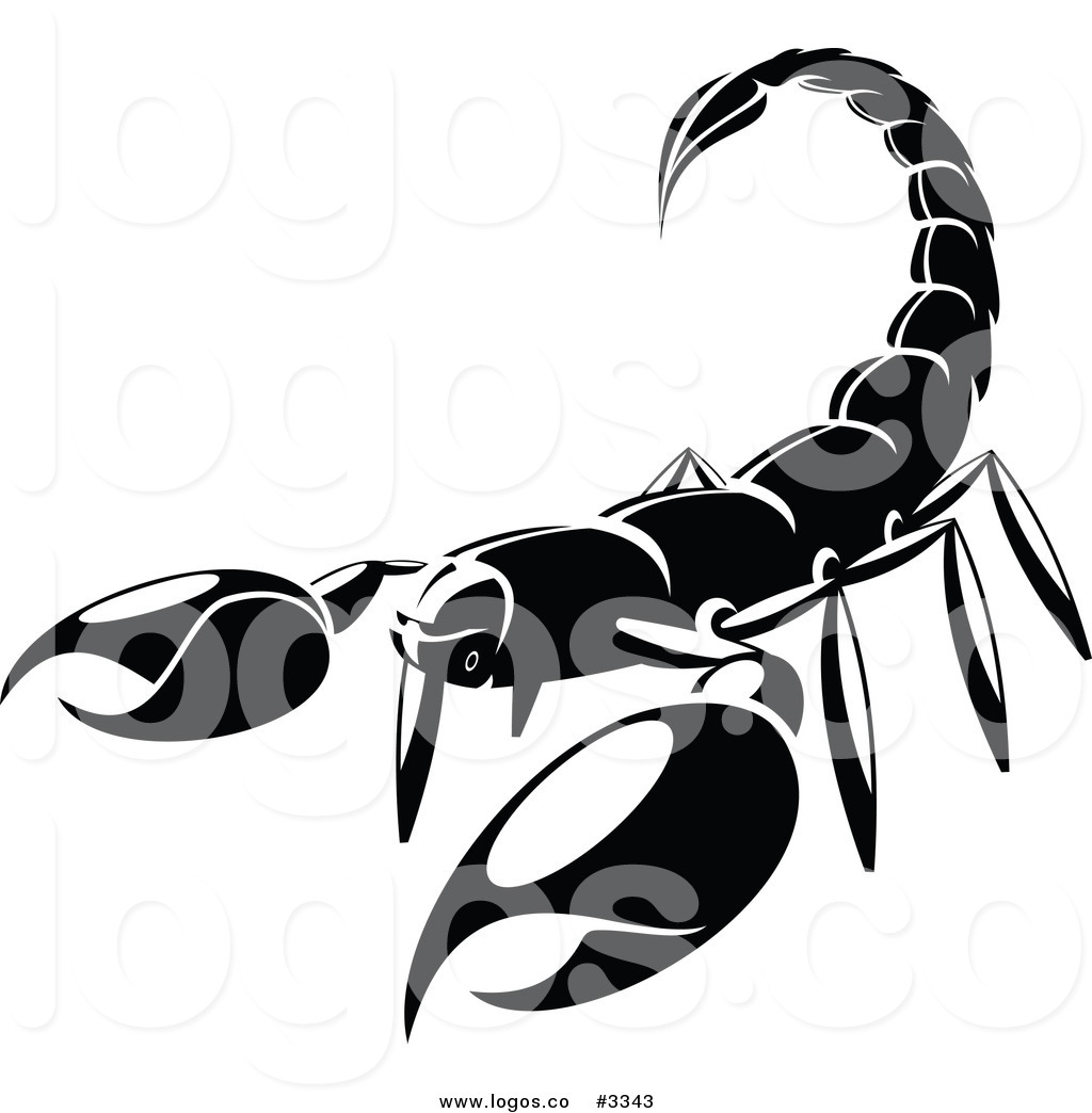 1024x1044 Royalty Free Scorpion Stock Logo Designs