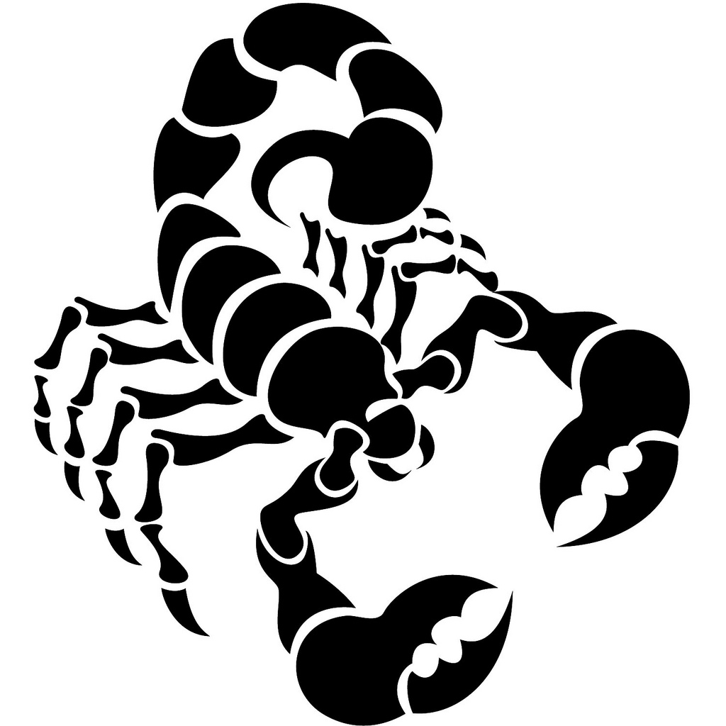 Scorpion Vector at GetDrawings | Free download