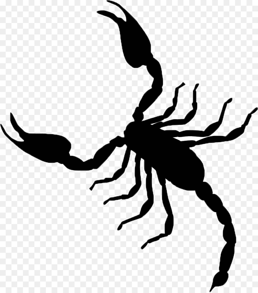 900x1020 Scorpion Vector Graphics Clip Art Illustration Image