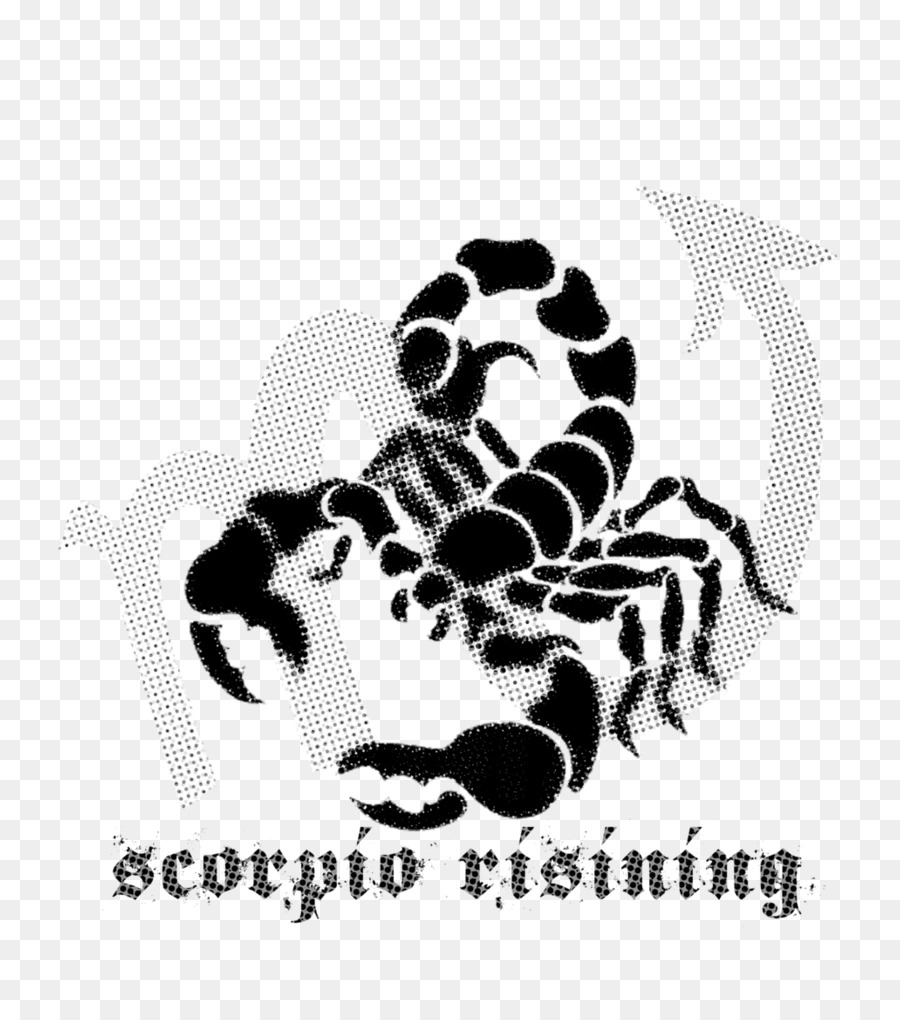 900x1020 Scorpion Vector Graphics Clip Art Image Illustration