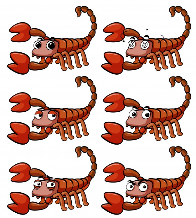 626x695 Scorpion Vectors, Photos And Psd Files Free Download