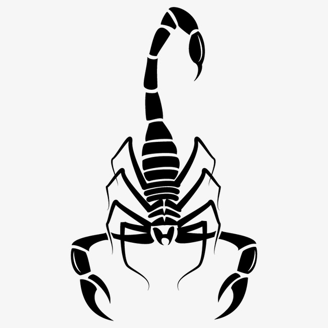 650x650 Scorpions, Vector, Animal, Sketch Png And Vector For Free Download