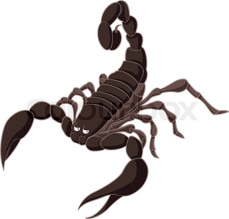 800x764 Vector Image Of The Cartoon Brown Scorpion Stock Vector Colourbox
