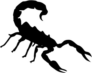 295x232 Vector Scorpion Free Vector Download (61 Free Vector) For