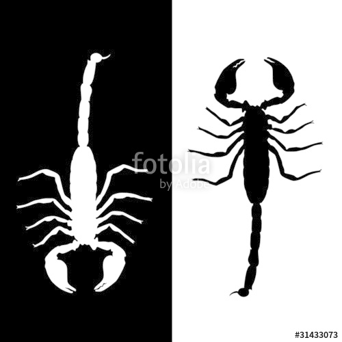 500x500 Scorpion Vector Stock Image And Royalty Free Vector Files On