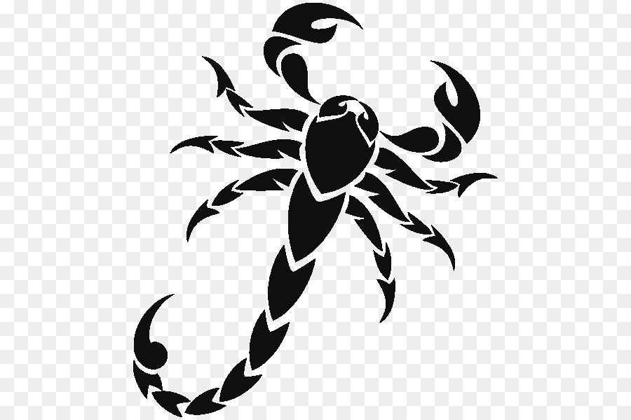 900x600 Scorpion Drawing Clip Art