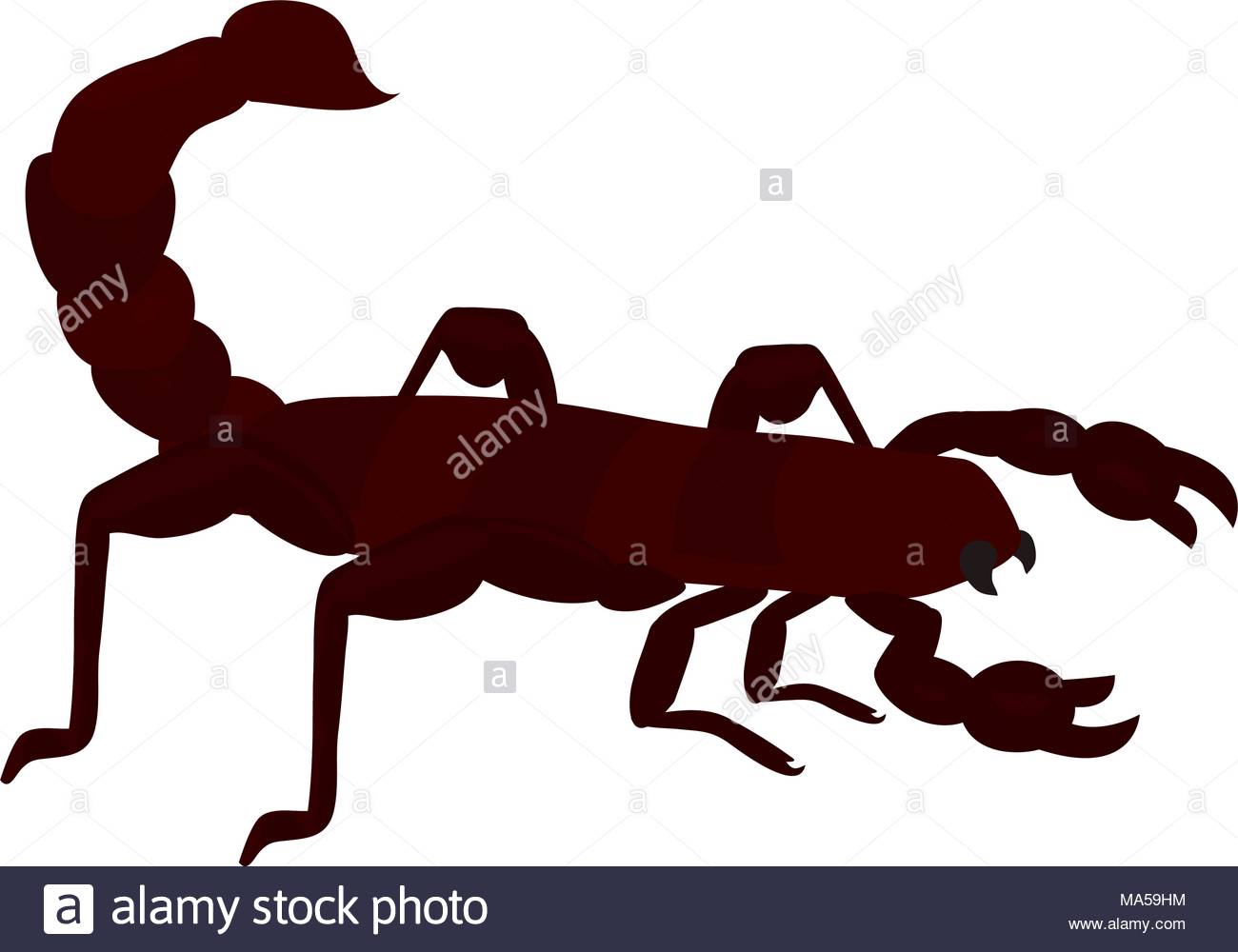 1300x1000 Scorpion Clipart Carboniferous