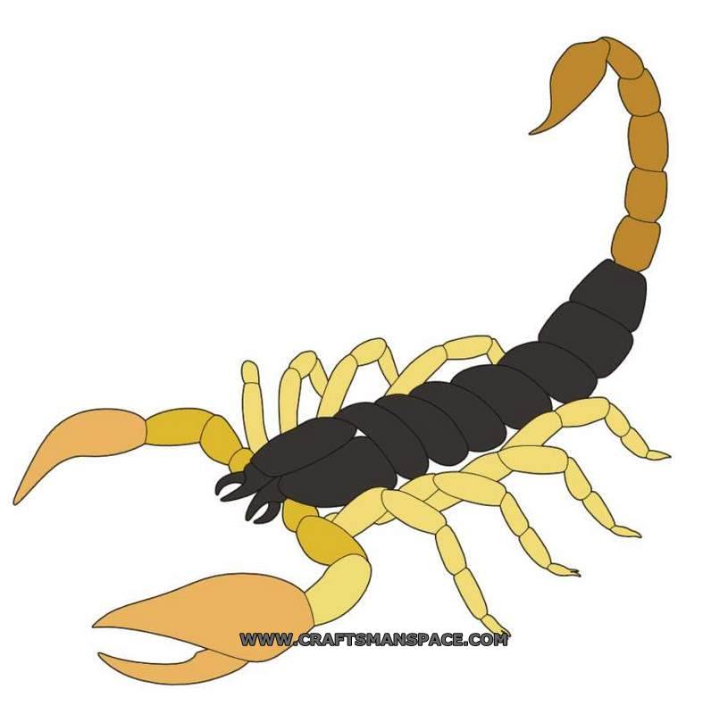 787x800 Scorpion Vector Pattern