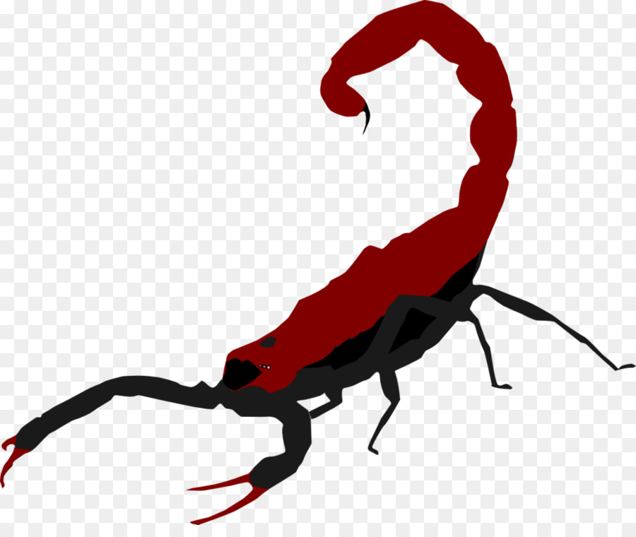 900x760 The Scorpion Royalty Free
