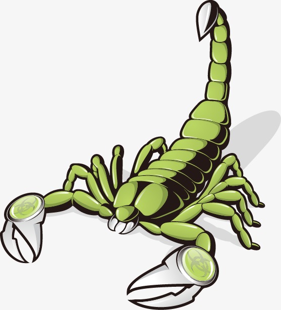 557x614 Vector Cartoon Scorpion, Vector, Cartoon, Scorpions Png And Vector