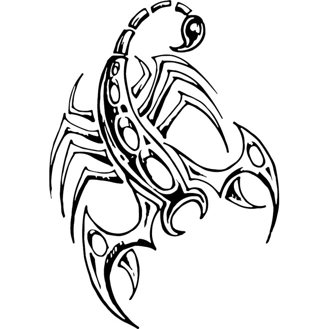 660x660 Scorpion Vector Illustration Free Vectors Ui Download