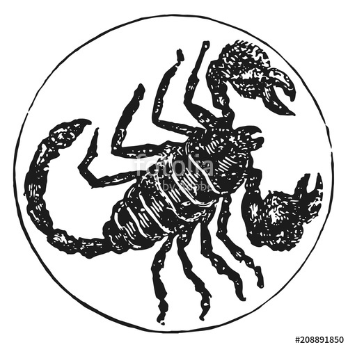 500x499 Zodiac Sign Scorpion