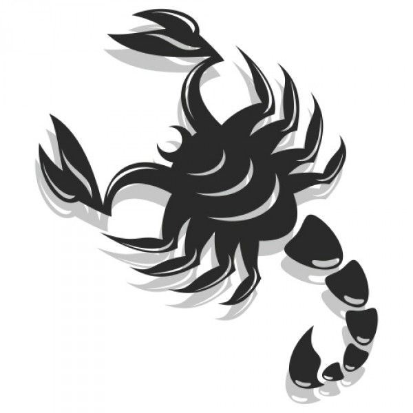 Scorpion Vector Free at GetDrawings | Free download