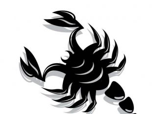 310x233 Free Scorpion Vector Free Vectors Ui Download
