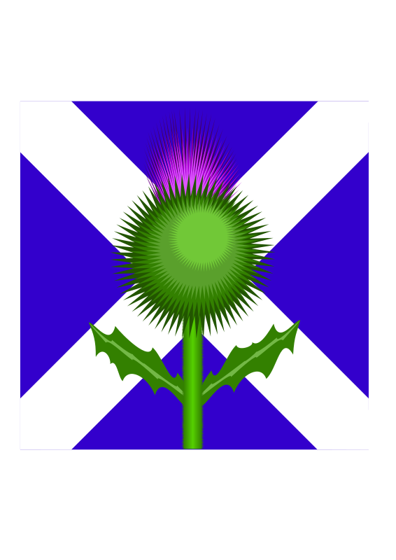 566x800 Scottish Thistle And Flag Free Vector 4vector