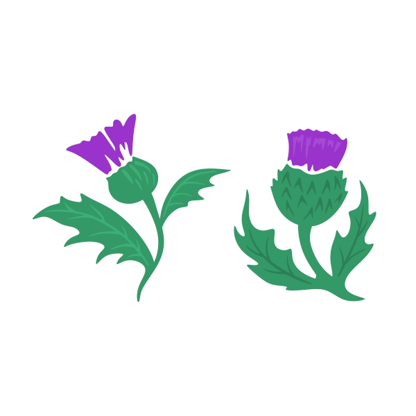 600x600 Thistle Design Clipart