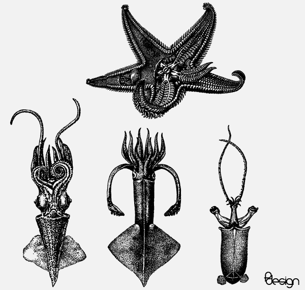 600x570 Sea Animals Vector Set 123freevectors