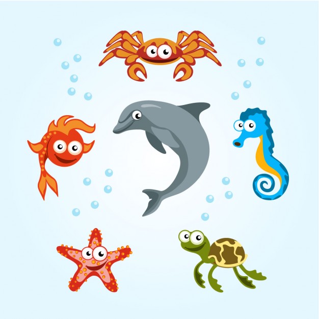 626x626 Sea Creatures Vector Free Download