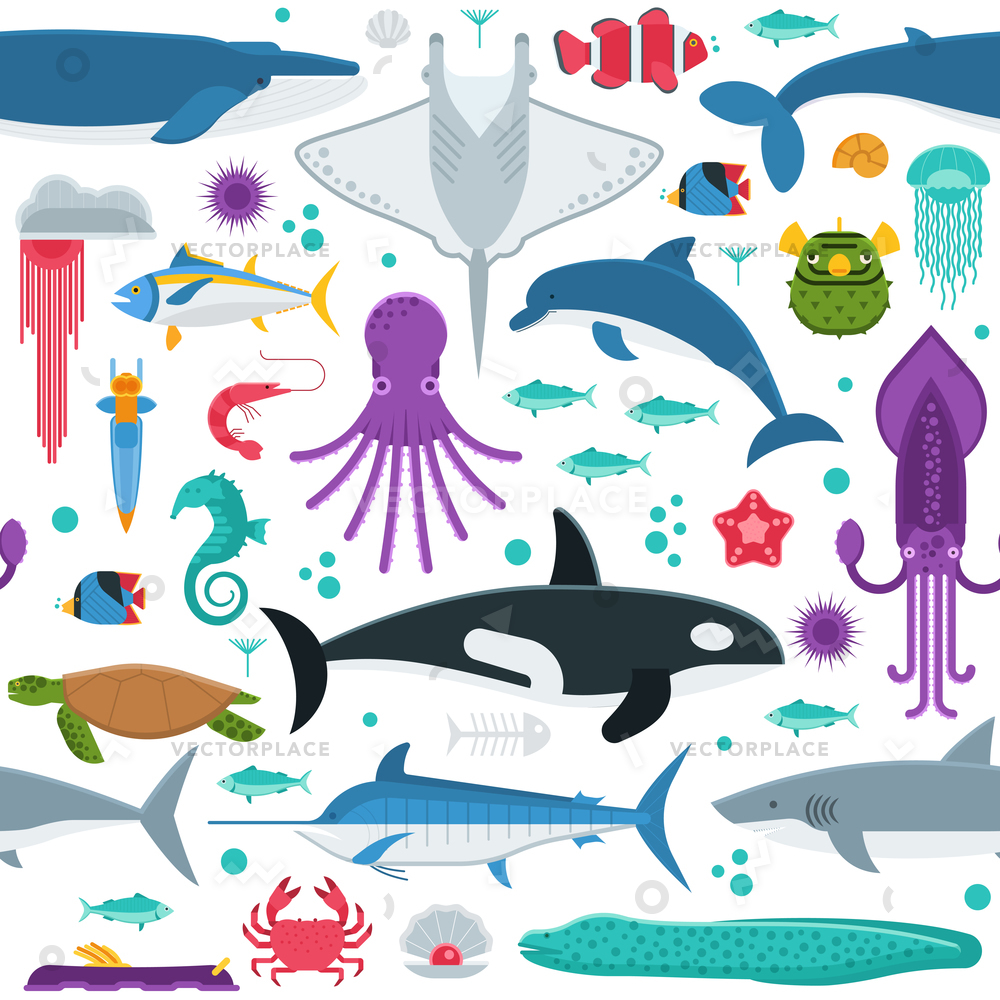 1000x1000 Sea Life Pattern Different Marine Animals Vector Illustration
