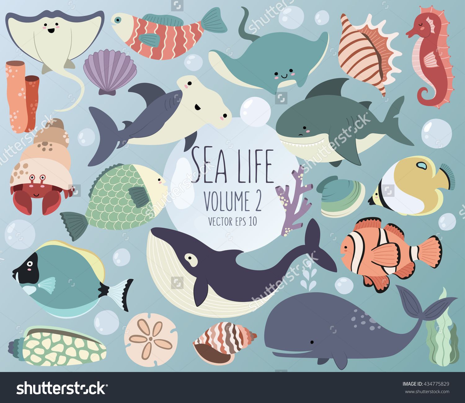 1500x1300 Sea Life Vector Ocean Animals Volume 2