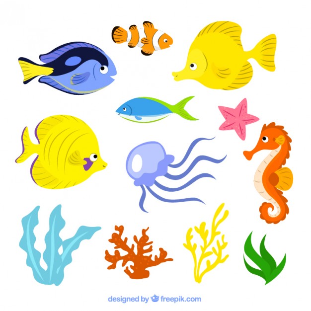 626x626 Sea Life Illustration Vector Free Download