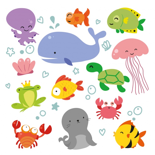 626x626 Sealife Animals Collection Vector Free Download