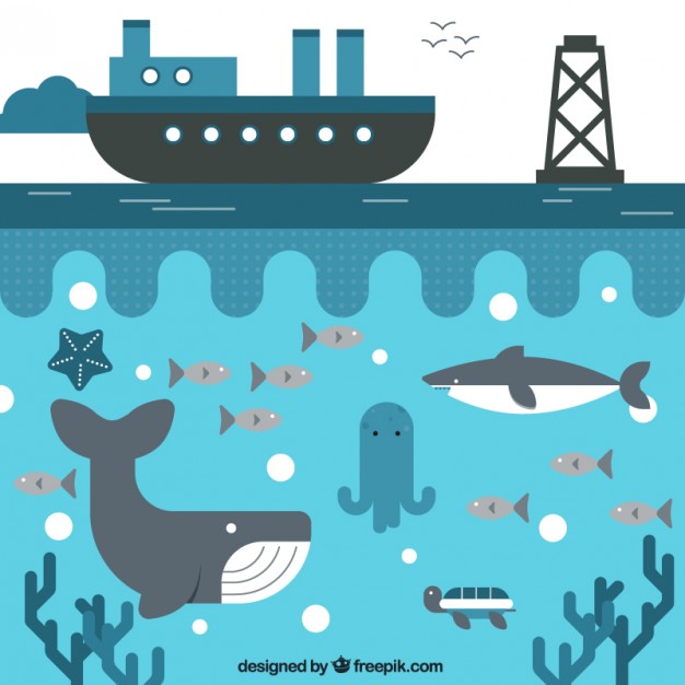 626x626 Ship And Sea Life Vector Free Download