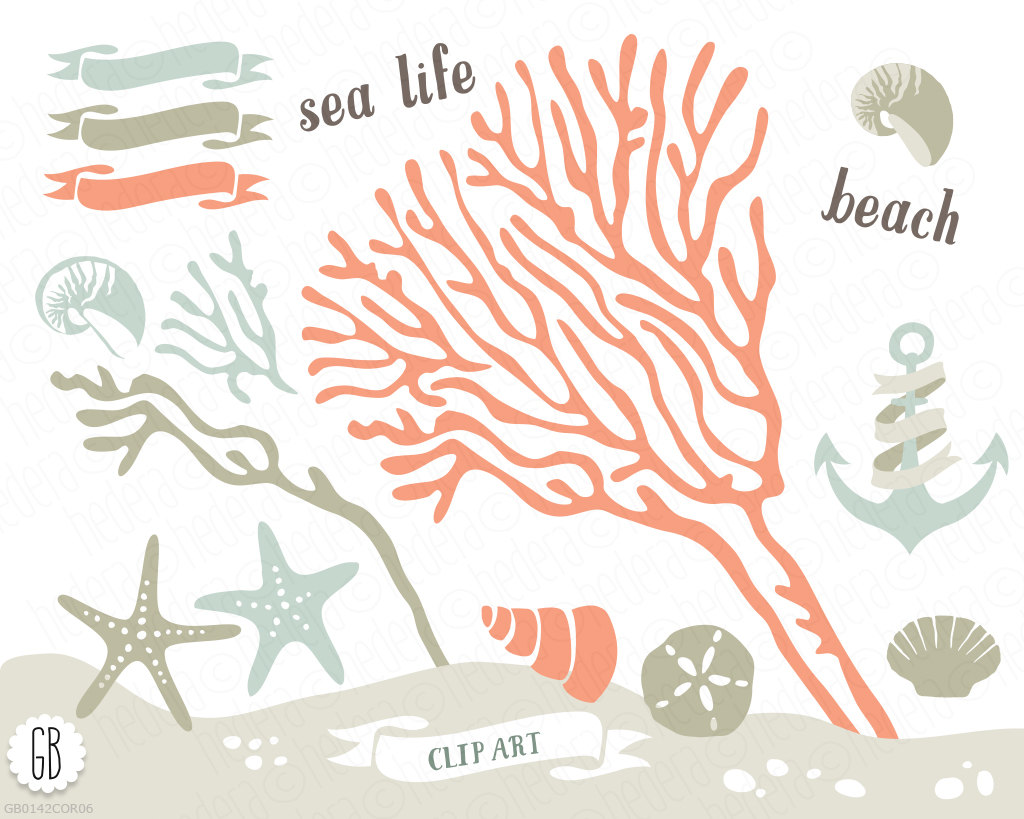 1024x819 Coral Clipart Sea Life