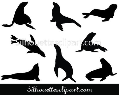 480x384 Sea Lion Silhouette Vector Plitka Iz Gipsa Lion
