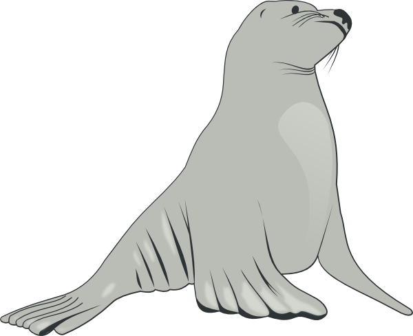 600x489 Sea Lion Clip Art Free Vector 4vector