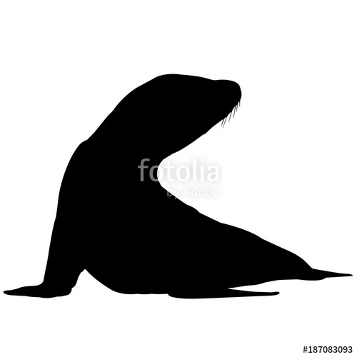 500x500 Sea Lion Silhouette Vector Graphics Stock Image And Royalty Free