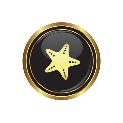 416x416 Sea Star Vector Icon Premium Clipart