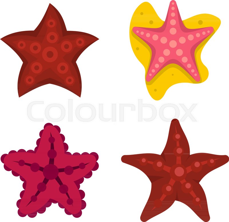 800x774 Sea Star Icon Set. Flat Set Of Sea Star Vector Icons For Web