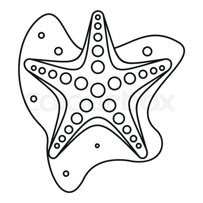 800x800 Sea Star Icon. Outline Illustration Of Sea Star Vector Icon For