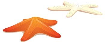 350x142 Free Sea Star Clipart And Vector Graphics