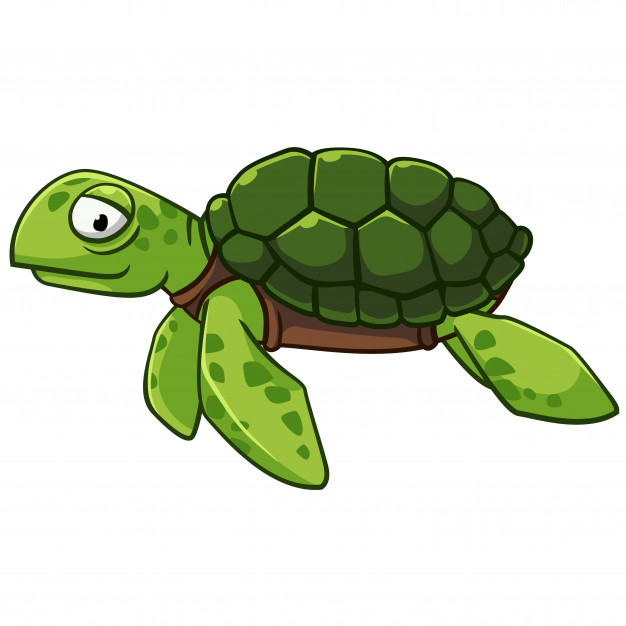 Sea Turtle Vector at GetDrawings | Free download