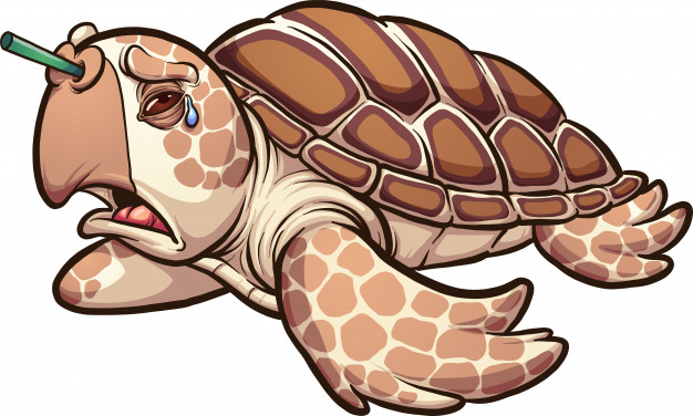 626x376 Sea Turtle Vector Premium Download
