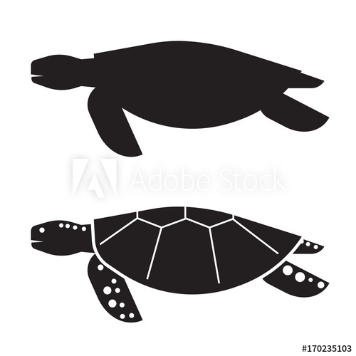 500x500 Sea Turtle Vector Illustration In Outline Design. Logo Or Label
