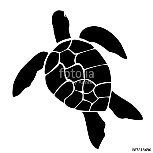 500x500 Sea Turtle Vector Image, Graphics. Stock Image And Royalty Free
