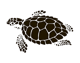 Sea Turtle Vector at GetDrawings | Free download