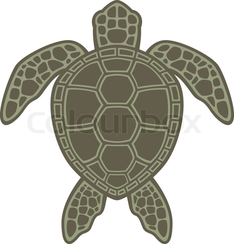 769x800 Vector Graphic Illustration Of A Green Sea Turtle Stock Vector