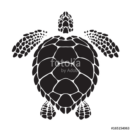 500x500 Graphic Sea Turtle, Vector Stock Image And Royalty Free Vector